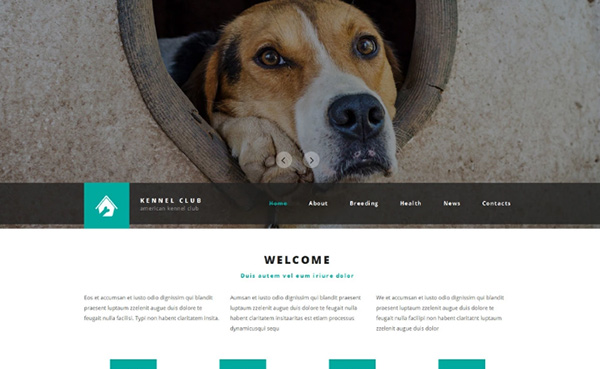 طراحی سایت حیوانات خانگی