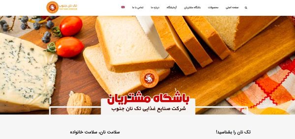 طراحی سایت در خوزستان