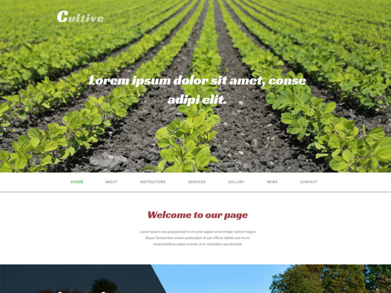 طراحی سایت کشاورزی